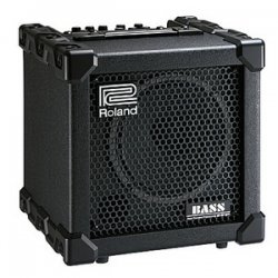 Roland CUBE-20XL BASS